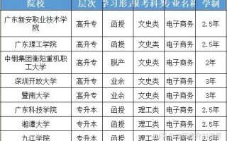 电子商务专业方向是什么_电子商务的专业方向是什么