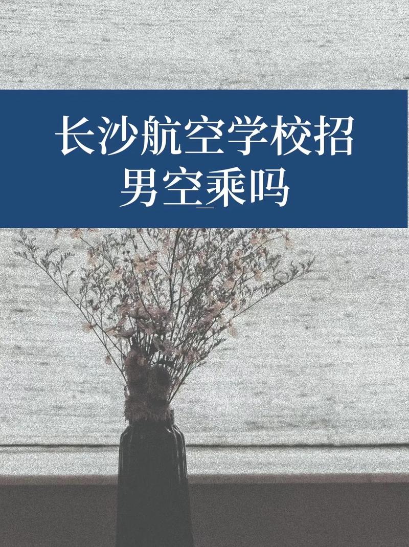 长沙航空学校空乘专业,长沙航空职业技术学院空中乘务专业-第3张图片-职教招生网 长沙航空学校空乘专业,长沙航空职业技术学院空中乘务专业-第3张图片-职教招生网