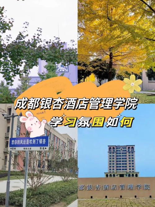 酒店管理专业有哪些_酒店管理专业有哪些大专学校-第3张图片-职教招生网 酒店管理专业有哪些_酒店管理专业有哪些大专学校-第3张图片-职教招生网