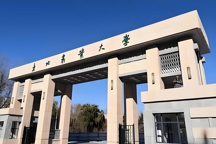哈尔滨市现代艺术设计职业技术学校-哈尔滨市现代艺术设计职业技术学校是大专吗？-第2张图片-职教招生网