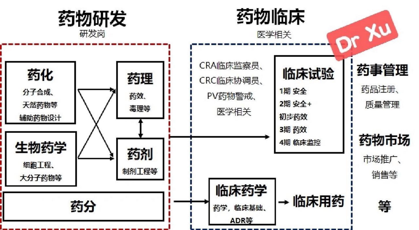 生物制药工程专业就业方向_生物制药专业工作方向-第5张图片-职教招生网