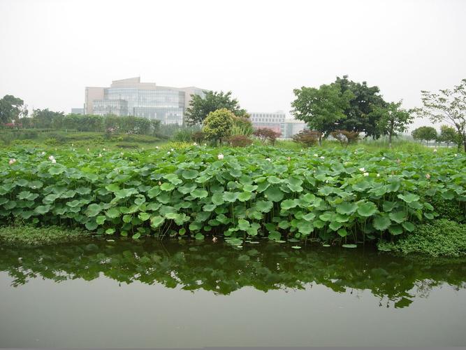 成都烹饪专科学校-成都烹饪高等专科学院？-第1张图片-职教招生网
