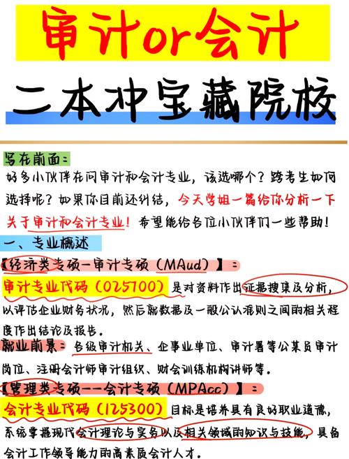会计学审计专业_会计系审计学是什么专业类别-第3张图片-职教招生网