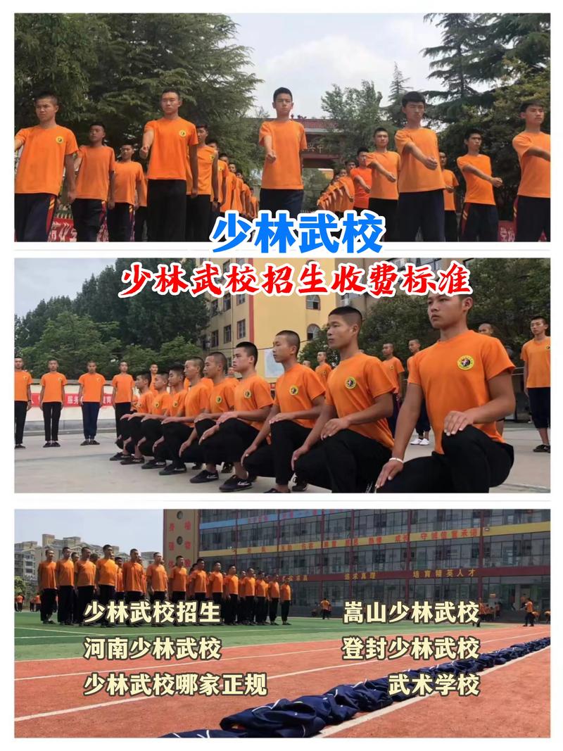 少林文武学校招生情况_少林文武学校哪所学校比较好-第1张图片-职教招生网 少林文武学校招生情况_少林文武学校哪所学校比较好-第1张图片-职教招生网