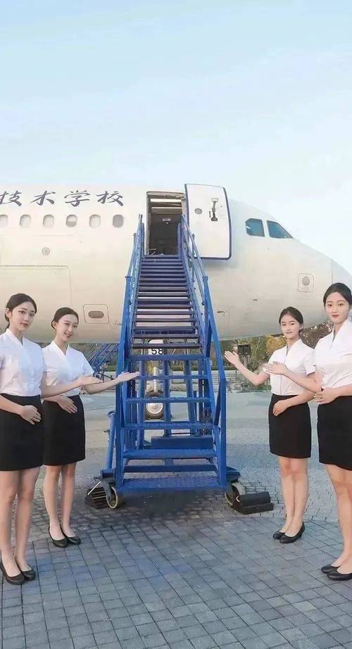 航空乘务专科的学校,空乘专业专科院校-第5张图片-职教招生网 航空乘务专科的学校,空乘专业专科院校-第5张图片-职教招生网
