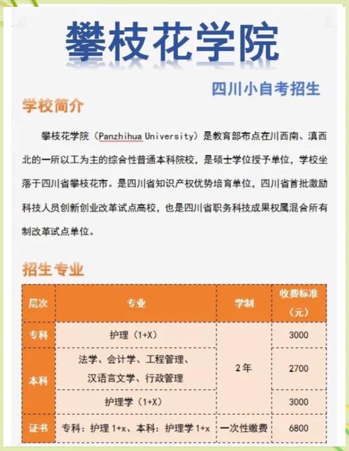四川省攀枝花卫生学校招生简章_四川省攀枝花市卫校-第3张图片-职教招生网 四川省攀枝花卫生学校招生简章_四川省攀枝花市卫校-第3张图片-职教招生网
