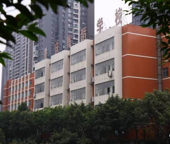 重庆市体育运动学校招生_重庆体育学校招生标准-第1张图片-职教招生网 重庆市体育运动学校招生_重庆体育学校招生标准-第1张图片-职教招生网