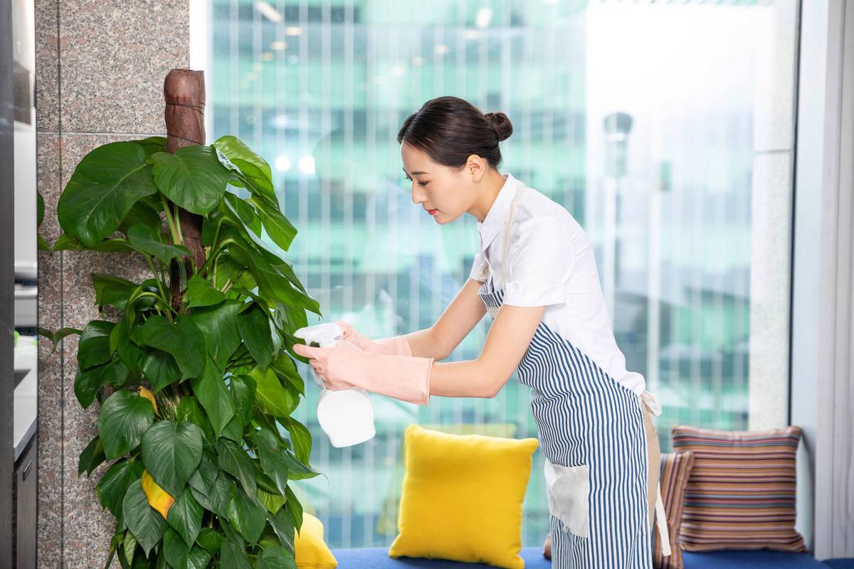 家政服务专业怎么样,家政服务专业是干嘛的-第4张图片-职教招生网 家政服务专业怎么样,家政服务专业是干嘛的-第4张图片-职教招生网