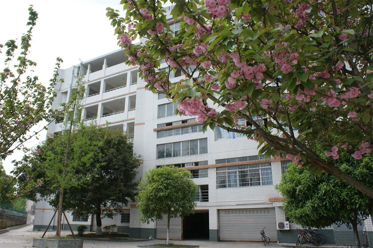 隆昌市城关职业中学招生视频_隆昌城关职业中学招生简章-第6张图片-职教招生网 隆昌市城关职业中学招生视频_隆昌城关职业中学招生简章-第6张图片-职教招生网