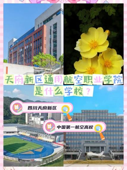 天府新区旅游航空职业学院招生网-天府新区旅游航空职业学院地址?-第1张图片-职教招生网 天府新区旅游航空职业学院招生网-天府新区旅游航空职业学院地址?-第1张图片-职教招生网