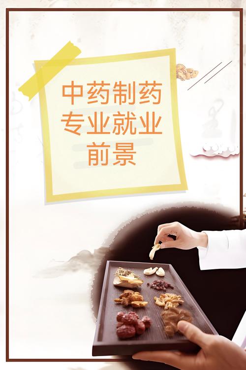 药学专业就业方向在哪-药学专业就业方向在哪工作?-第2张图片-职教招生网 药学专业就业方向在哪-药学专业就业方向在哪工作?-第2张图片-职教招生网