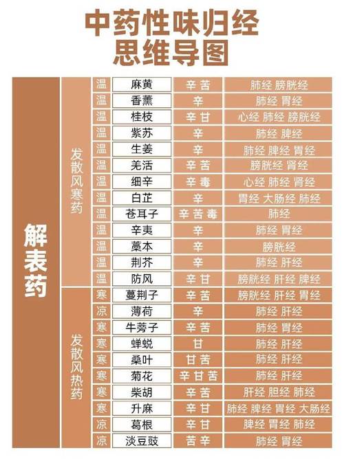 药学专业哪个方向好，药学专业的方向-第5张图片-职教招生网