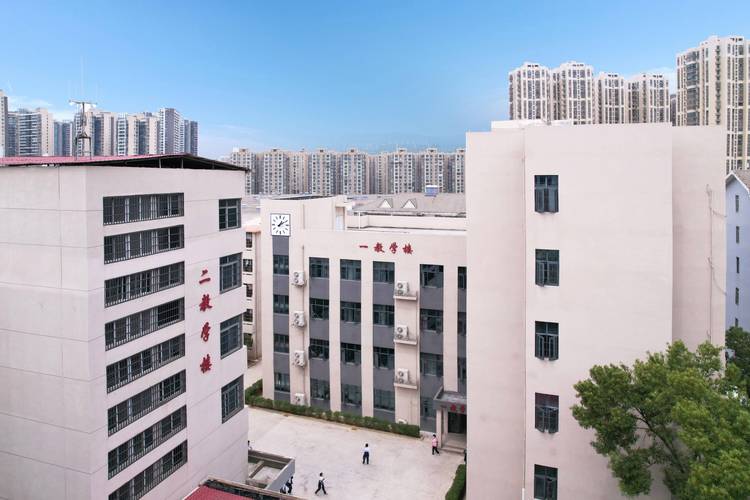 电子商务专业职业学校，电子商务高职学校排名-第5张图片-职教招生网