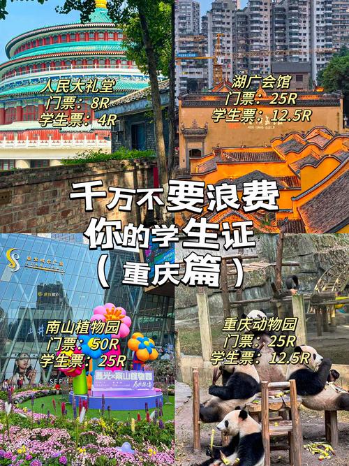 重庆市旅游学校招生简章_重庆市旅游学校官方网站联系方式-第4张图片-职教招生网