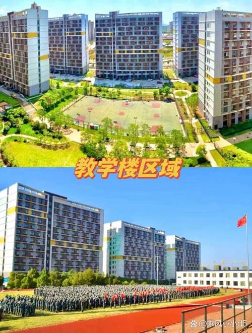 进贤县职业技术高级中学招生办-进贤县职业技术学校？-第3张图片-职教招生网