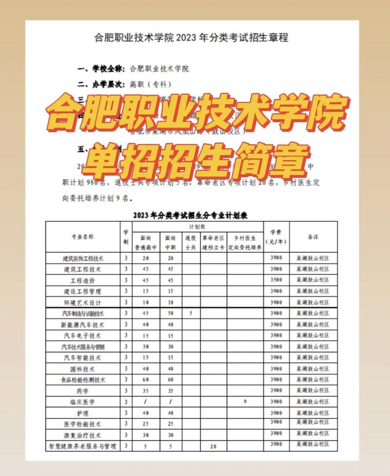 合肥的护理专业学校-合肥护理专业的大学？-第4张图片-职教招生网