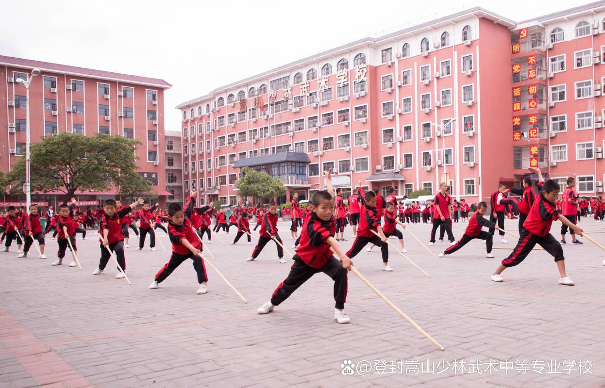 武术学校是怎样招生的的简单介绍-第4张图片-职教招生网 武术学校是怎样招生的的简单介绍-第4张图片-职教招生网