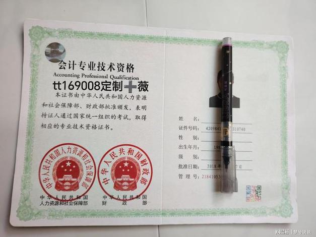 会计师专业资格-会计师专业资格证书指什么等级的？-第5张图片-职教招生网