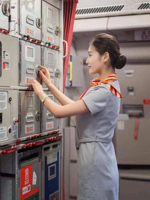 乘务有哪些专业-乘务有哪些专业可以报考？-第4张图片-职教招生网