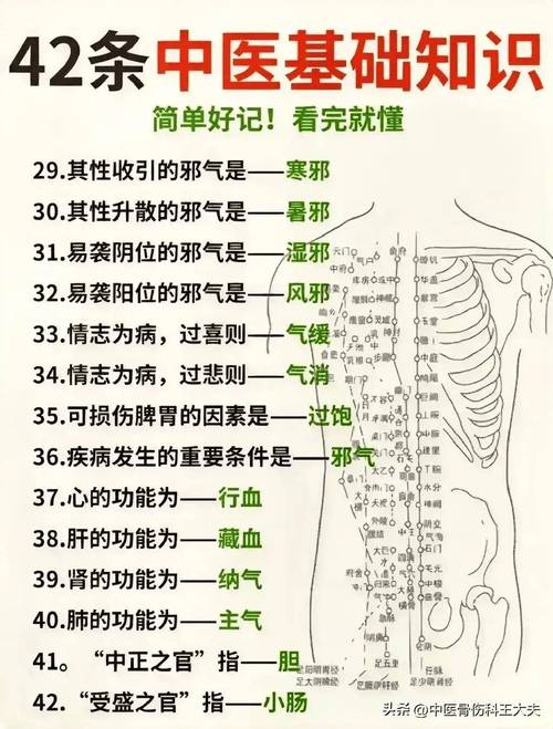 成都中医药大学中医师承班招生_成都中医药大学中医师承培训-第1张图片-职教招生网