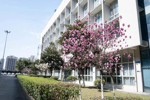德阳科贸职业学院招生电话-德阳科贸职业学院2021高职扩招人数？-第1张图片-职教招生网