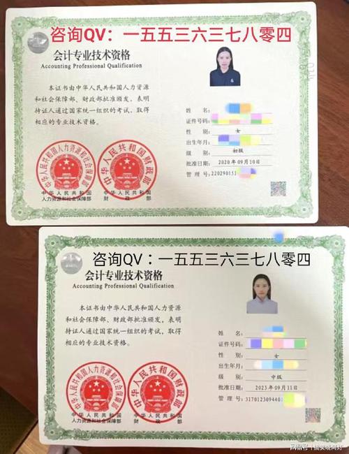 会计师专业技术职务_会计师专业技术职务资格和初级会计专业资格-第1张图片-职教招生网 会计师专业技术职务_会计师专业技术职务资格和初级会计专业资格-第1张图片-职教招生网
