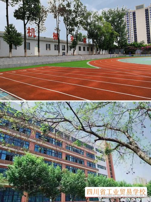 四川贸易学校招生简章-四川贸易学校经开校区?-第3张图片-职教招生网 四川贸易学校招生简章-四川贸易学校经开校区?-第3张图片-职教招生网
