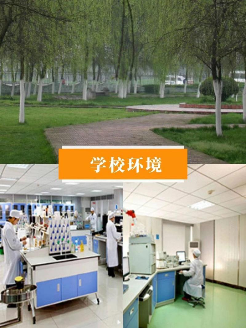 四川水利职业技术学院招生办电话_四川水利职业技术学院招生官方网站-第4张图片-职教招生网 四川水利职业技术学院招生办电话_四川水利职业技术学院招生官方网站-第4张图片-职教招生网