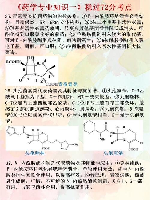 药剂和药学是一个专业吗_药剂和药学是一个专业吗还是分类-第5张图片-职教招生网 药剂和药学是一个专业吗_药剂和药学是一个专业吗还是分类-第5张图片-职教招生网